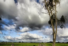 欧冠:贝林厄姆补时制胜 皇马客场3-2曼城占先机.