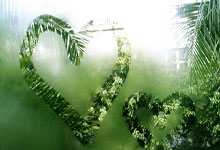 弗拉格杯的争夺日趋白热化盘点摆烂神器:真的菜还是演技好?.