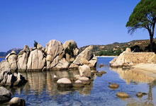 韩媒群嘲国足:杀人飞腿 少林足球 世界杯梦碎.